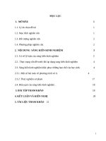 Một số giải pháp giúp học sinh có kỹ năng giải phương trình vô tỉ 