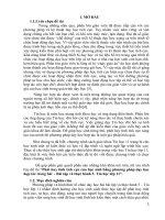 Phát huy tính tích cực của học sinh bằng phương pháp dạy học hợp tác trong bài bài tập thực hành 5  tin học 11 