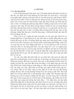 Giáo dục lòng yêu nước, tinh thần tự hào dân tộc và ý thức giữ gìn dị sản văn hóa thế thành nhà hồ cho học sinh lớp 10a1 trường THPT quan sơn qua tiết học lịch sử địa phương 