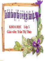 Bài 12. Phòng bệnh sốt rét