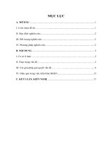 Một số phương pháp để nhằm nâng cao chất lượng dạy học môn tin học lớp 10 ở trường THPT lê lợi 