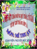 Chủ đề 11 -VẼ BIỂU CẢM CÁC ĐỒ VẬT T1 lop 5