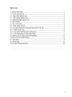 Một số kinh nghiệm trong việc giáo dục lòng yêu nước cho học sinh thông qua tiết học lịch sử địa phương lớp 10 tại trường THPT đinh chương dương 