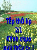 Tuần 8. Từ chỉ hoạt động, trạng thái. Dấu phẩy