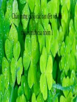 phong trào cách mạng theo khuynh hướng cách mạng vô sản và tư sản