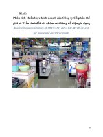 Phân tích chiến lược kinh doanh của công ty cổ phần thế giới số trần anh đối với nhóm mặt hàng đồ điện gia dụng