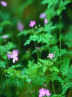 Bài 13. Các mạch điện xoay chiều