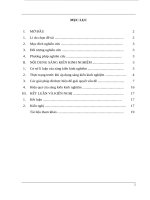 Một số giải pháp nâng cao hứng thú học môn tin học 11 tại trường THPT đinh chương dương 