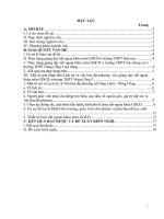 Đưa lịch sử và văn hóa địa phương vào các tiết ngoại khóa môn GDCD, nhằm góp phần giữ gìn, bảo tồn các giá trị văn hóa, bồi đắp tình yêu quê hương cho học sinh ở trường THPT nông cống 3 