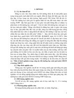 Một số kinh nghiệm trong công tác bồi dưỡng học sinh giỏi môn GDCD ở trường THPT đông sơn 1 