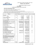 6.Bao cao Tai chinh 2016 (KQ2016)