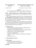 Tuyen dung cua Cong ty TNHH Tri tue Viet