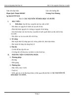 Giao an bai 3 sinh 10