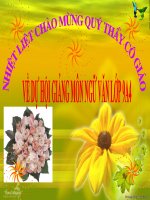 Bài 10. Tổng kết về từ vựng (Sự phát triển của từ vựng,... trau dồi vốn từ)