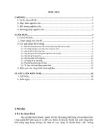 Xây dựng tập thể lớp tự quản dựa trên những điểm tích cực của mô hình trường học mới việt nam tại lớp 10a2 trường THPT ngọc lặc 