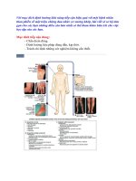 Tiếp cận một bệnh nhân với triệu chứng cơ xương khớp