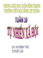 Bài 10. Ôn tập: Con người và sức khoẻ
