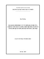 105-LuanVanThacSi-ChuaPhanLoai (193).pdf