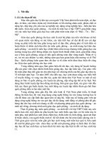 Mốt số bài tập bổ trợ kĩ thuật ném lựu đạn xa trúng đích đạt hiệu quả cao cho học sinh lớp 11 trường THPT hậu lộc 4 