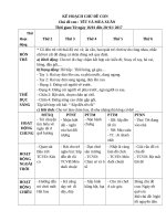 Chủ đề tết và mùa xuân