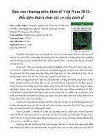 Bao cao thuong nien 2012