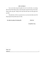 KHÓA LUẬN tốt NGHIỆP cử NHÂN LUẬT bản sửa đổi