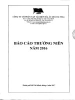 bao cao thuong nien nam 2016
