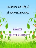 Bài 9. Lịch sự, tế nhị