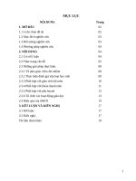 Một vài giải pháp nâng cao ý thức tổ chức kỷ luật cho học sinh lớp 12c5 trường THPT đinh chương dương 