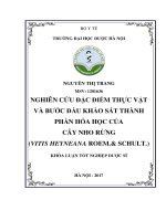 Nghiên cứu đặc điểm thực vật và bước đầu khảo sát thành phần hóa học của cây nho rừng (vitis heyneana roem  schult ) 