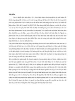 Luận văn Thạc sĩ - Tóm tắt | Hanoi University of Science, VNU