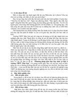 Những biện pháp giáo dục học sinh cá biệt trong trường trung học phổ thông sầm sơn 