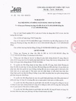 3.NQ DHDCD Thong qua PA tang VDL