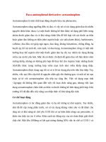 Paracetamol (autorecovered)