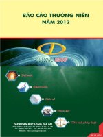 bao cao thuong nien 2012   dlg