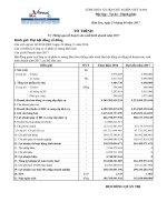 7.Bao cao Tai chinh 2017 (KH2017)