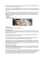 Công dụng cây cỏ máu tuệ lâm tăng cân đẹp da