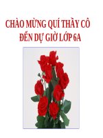 Bài 8. Sống chan hoà với mọi người