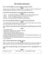 Tài liệu bồi dưỡng học sinh giỏi lớp 6