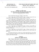 Quy định mã số, tiêu chuẩn chức danh nghề nghiệp giáo viên trung học phổ thông công lập