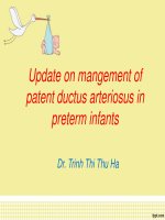 Update on mangement of patent ductus arteriosus in preterm infants | Website Bệnh viện nhi đồng 2 - www.benhviennhi.org.vn
