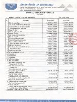 Báo cáo tài chính tóm tắt Quý IV năm 2009