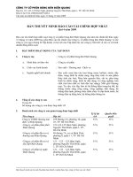 20100210 - DQC - Thuyet minh BCTC hop nhat Quy 04-2009