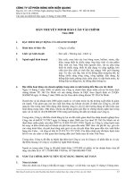 Báo cáo tài chính kiểm toán năm 2008 - Dien Quang 5 Tmbctc