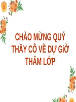 phong cach ngon ngu sinh hoat (1)