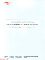 Bao cao tai chinh rieng giua nien  do da duoc soat xet