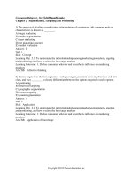 Consumer behavior 11th edition schiffman test bank 