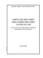 Bia - Phu luc Chien luoc 2011-2020