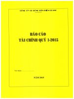 BCTC CTY ME Q1 2015 V01 150514 TCKT aintb