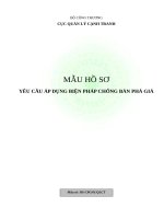 Mau ho so chong ban pha gia